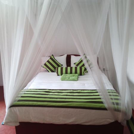 Jungle View Cottage Ела Екстериор снимка