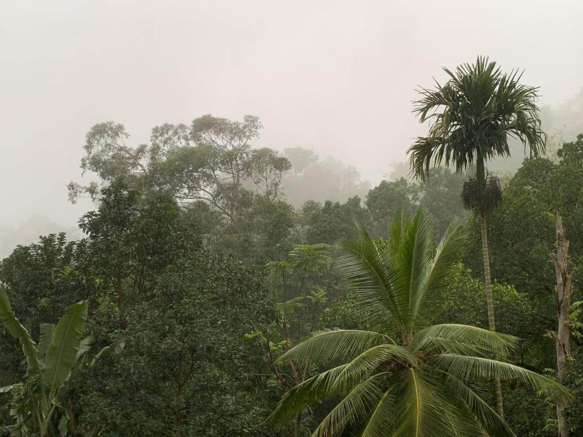 Jungle View Cottage Ела Екстериор снимка