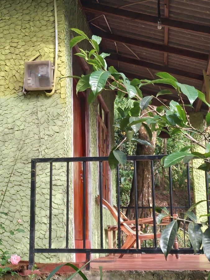 Jungle View Cottage Ела Екстериор снимка