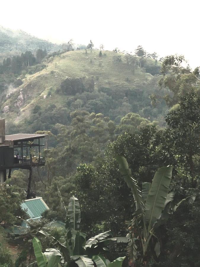 Jungle View Cottage Ела Екстериор снимка