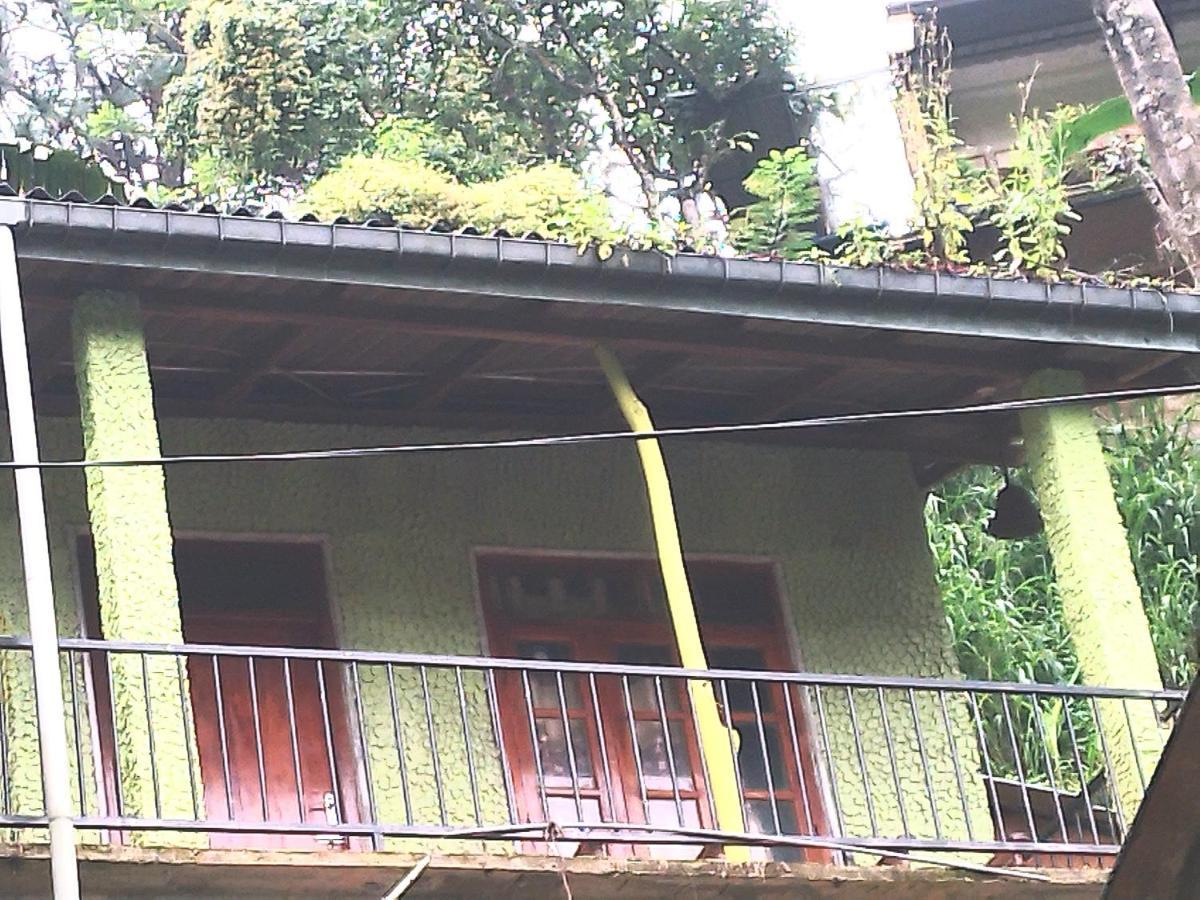 Jungle View Cottage Ела Екстериор снимка