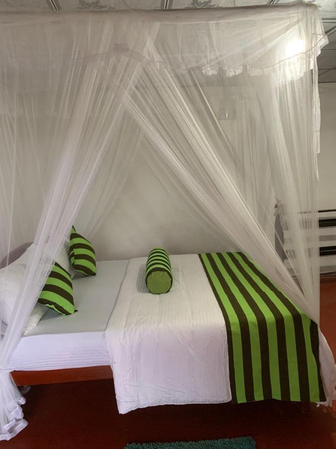 Jungle View Cottage Ела Екстериор снимка